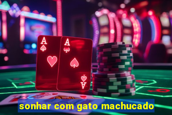 sonhar com gato machucado